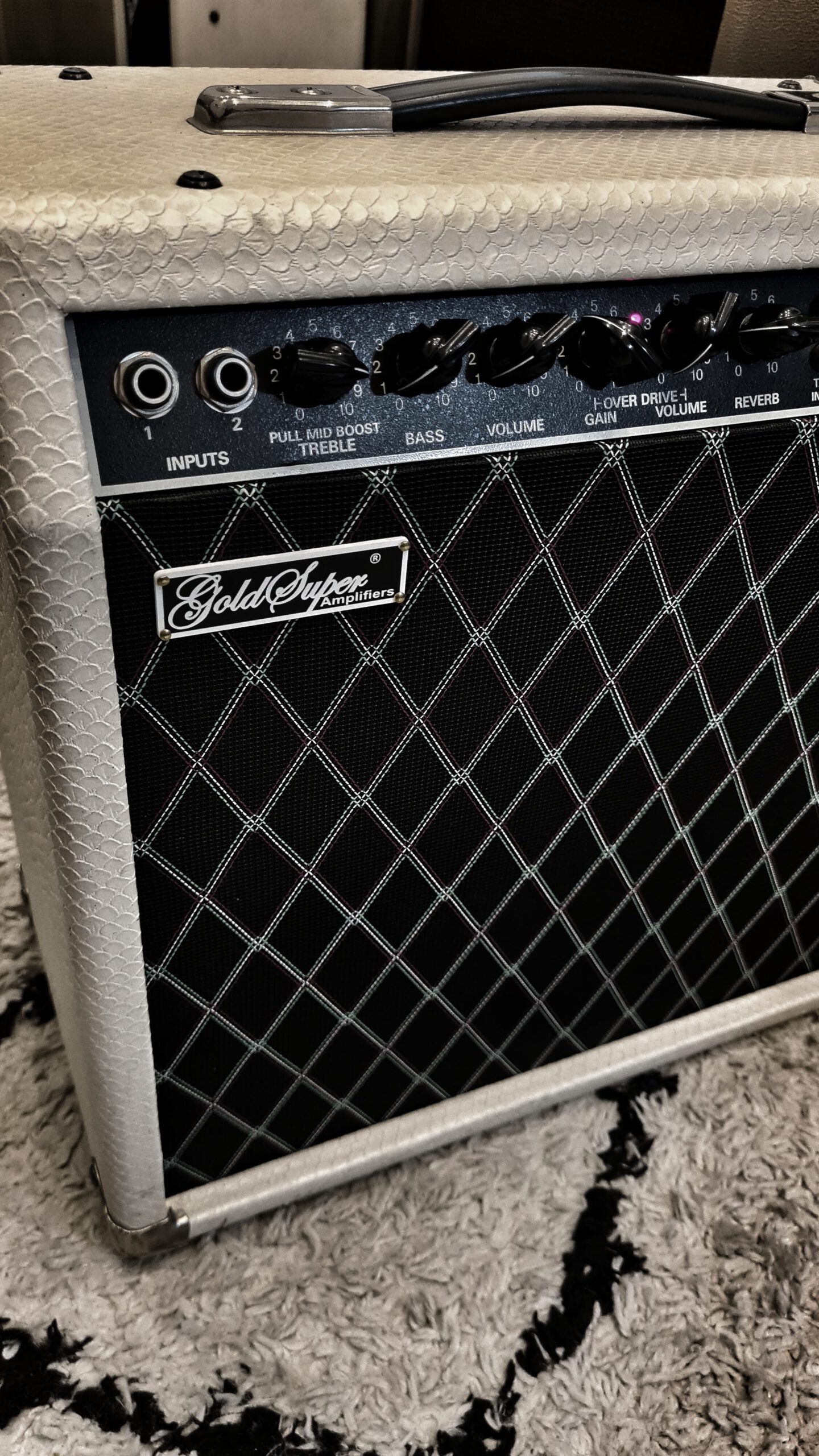 Nach Umbau ist der Fender Champ12 nun komplett